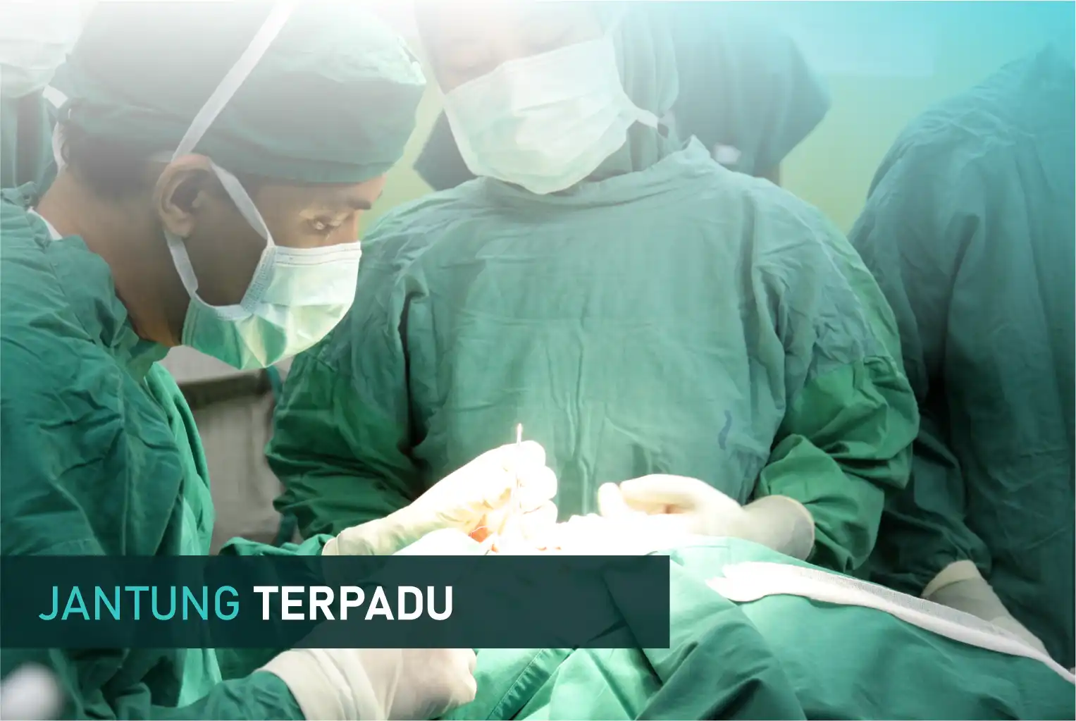 Jantung Terpadu